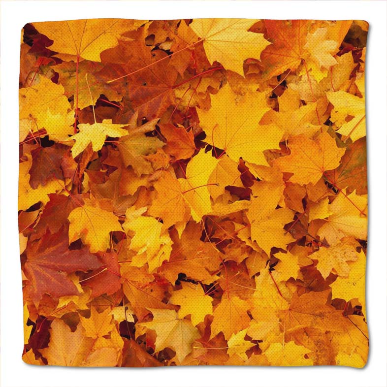 Sitzkissen Herbst 08 40x40x3 cm